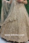 Beautiful Golden Lehenga Choli