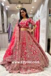 Royal Red Designer Handwork Bridal Lehenga Choli