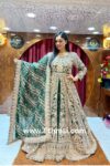 Royal Green Long Trail Bridal Dress